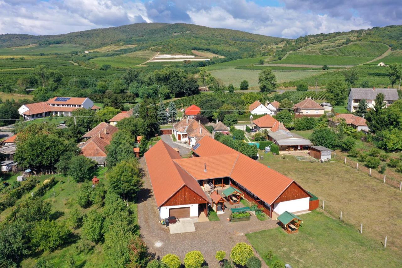 Nyakiglab Villa Szegi Buitenkant foto